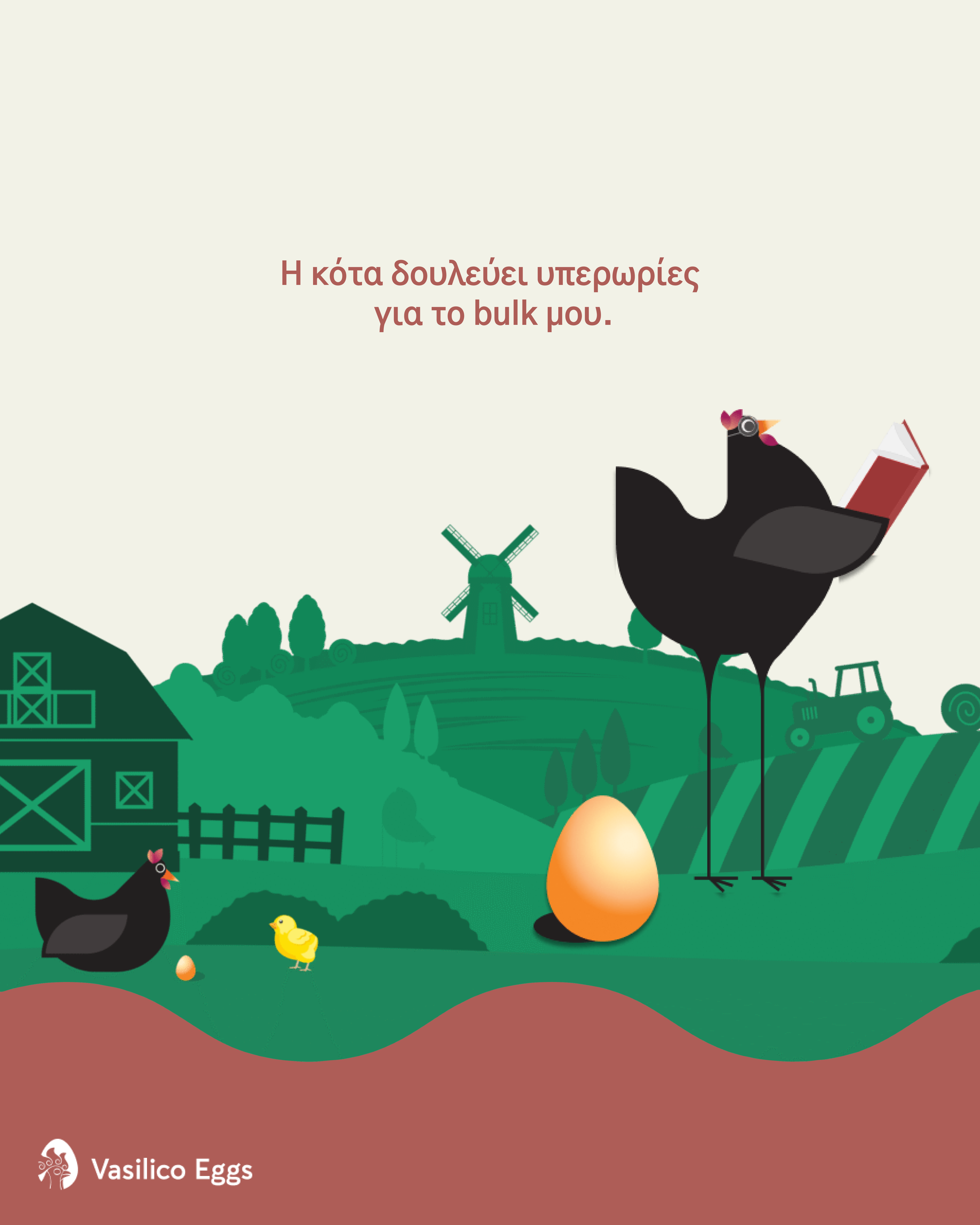 Vaslicoeggs multimedia design
