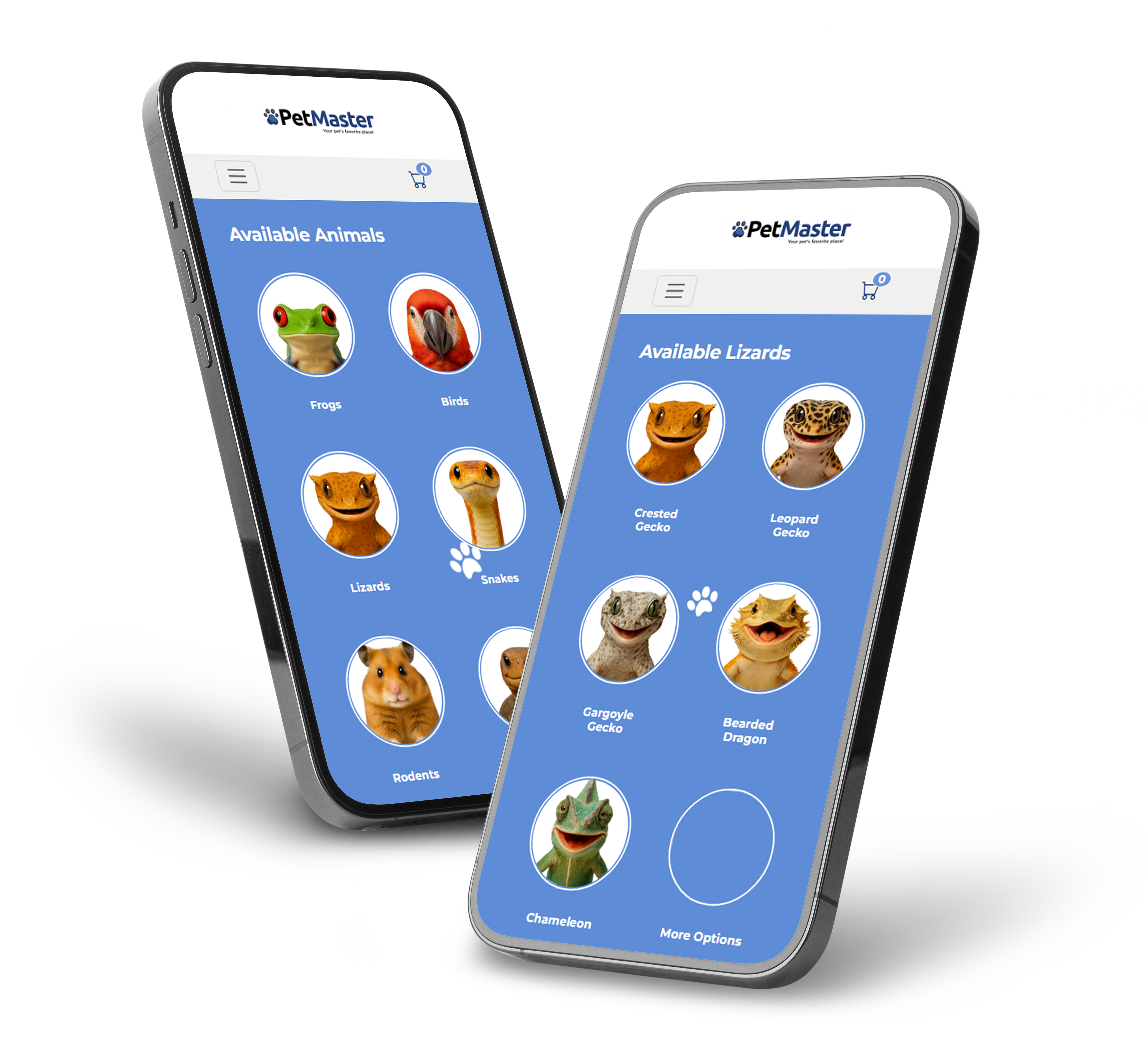 Petmaster app â€” desktop and mobile preview